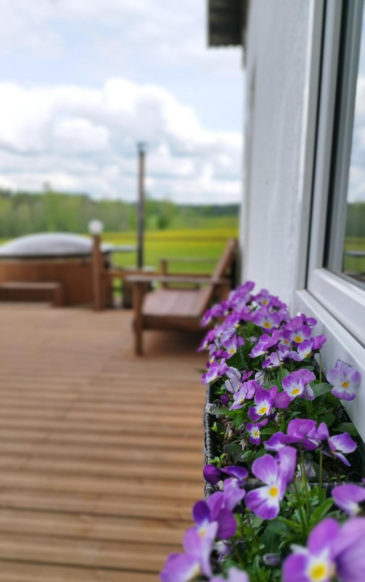 Guesthouse, Sauna & Jacuzzi In Gauja Valley - Kakukalns Straupe Екстер'єр фото