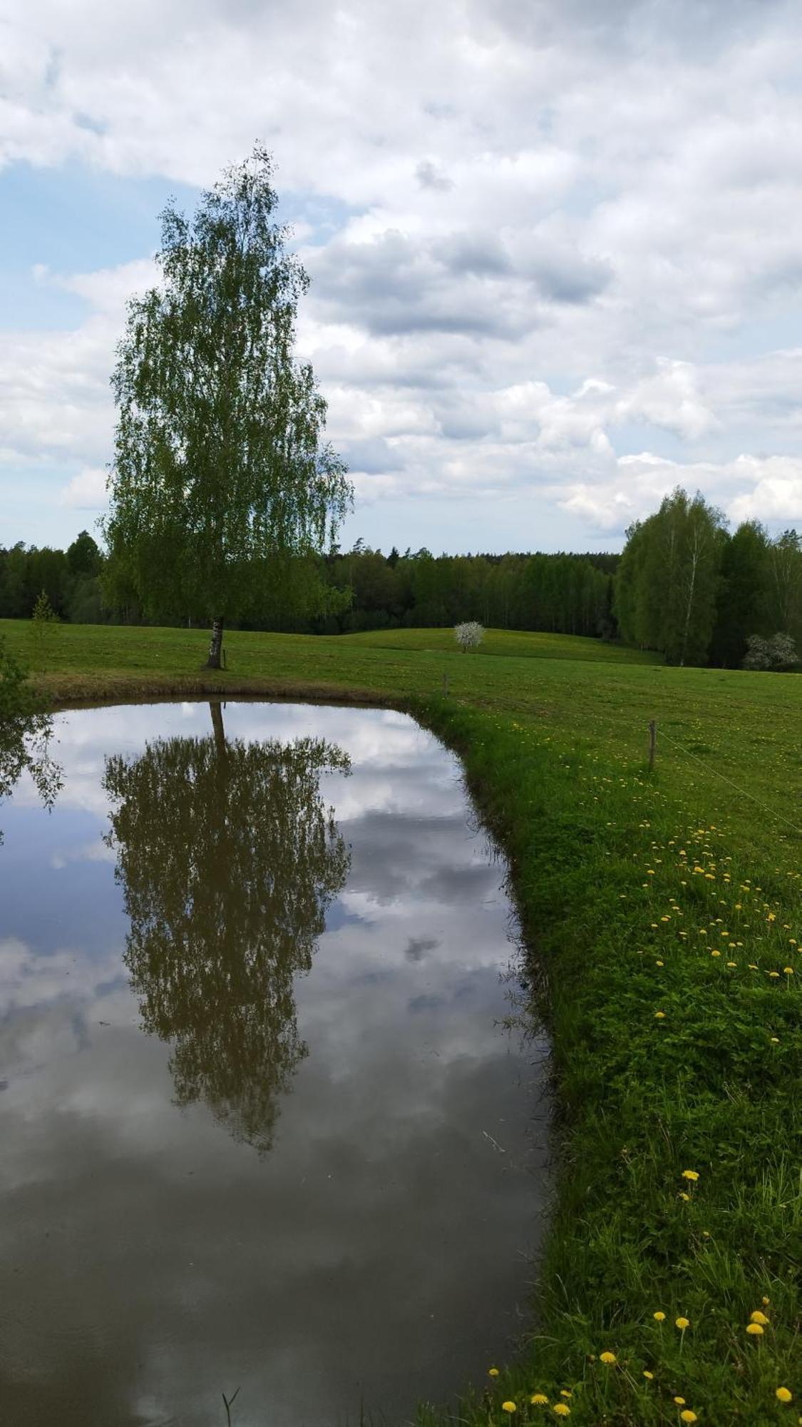 Guesthouse, Sauna & Jacuzzi In Gauja Valley - Kakukalns Straupe Екстер'єр фото